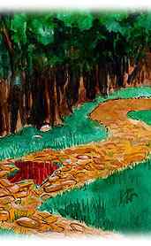 path into the woods