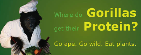link to gorilla 