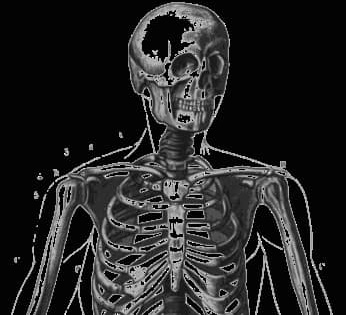 link to another protein site