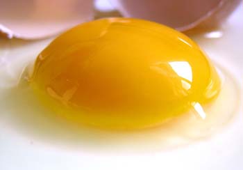 eggyolk