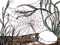 come into my web