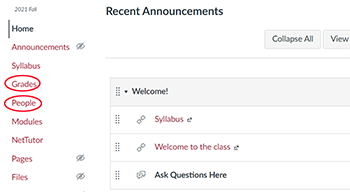 screenshot of class homepage