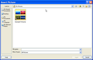 Insert picture dialog box