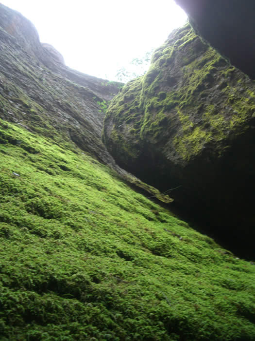 Gav SL ecology in caves looking up PNM