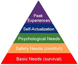 Maslow's Hyerachy