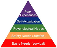 hierarchy